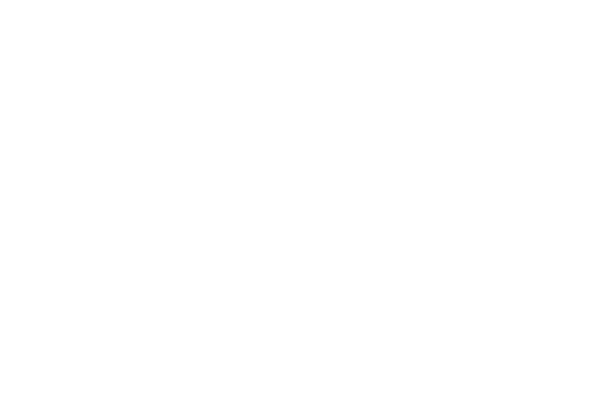 Big Brother Eye Logo